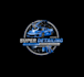 create high quality and beautiful auto detailing logo design