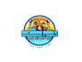 create awesome and gorgeous pool service logo design