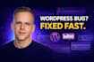 fix wordpress or woocommerce issues professionally