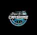 create wonderful and excellent auto detailing logo design