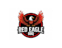 create graceful and fantastic eagle logo design