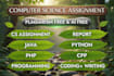 do computer science assigned, java, cpp, python programming tasks and projects