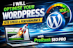 optimise your wordpress site speed and performance using prorank SEO pro