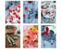 create lifestyle product photography