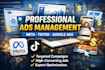 run local ads campaigns on tiktok, facebook, instagram and linkedin
