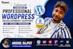 provide 8hours of professional wordpress development support