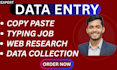 be your professional data entry operator