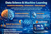 build professional machine learning models and data science solutions