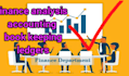 do finance tasks, balance sheet and ledgers