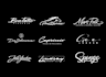 do professional handwritten, scripted, handwriting, cursive, signature logo