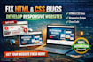 fix your HTML and CSS bugs and build responsive websites