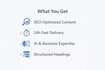write SEO ai blog posts and business articles in 24 hours