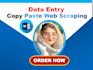 do ms excel data entry, data cleaning, formatting, ms word typing