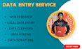 data entry, internet research and data analysis