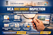 provide indian company documents and balance sheet report