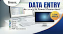do any type of data entry or input