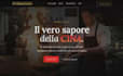 build a custom responsive website with 24h delivery