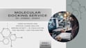 do professional molecular docking and protein ligand analysis