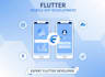 professional flutter mobile app developer