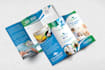 design brochure or flyer or postcard in 48 hours