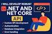 do dot net API development