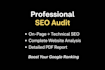 do professional SEO audit complete on page optimization