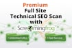 do technical SEO audit with screaming frog and action plan