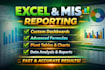 create professional excel reports, dashboards mis reporting