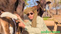 african happy birthday video african happy birthday video