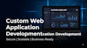 develop a custom web application for your business