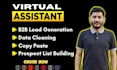 do prospect list building, b2b lead generation, copy paste and data cleaning