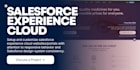 setup and customize salesforce experience cloud website professionally