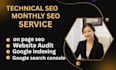 provide advanced technical SEO and website optimization