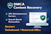 handle dmca counter notification and content reinstatement professionally