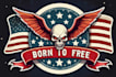 design high quality veteran logo in high definition