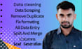do fast data cleaning data entry and lead generation