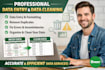 do free professional data entry and data clearing in excel