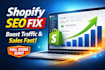 do shopify SEO audit and fix your store to increase traffic and sales