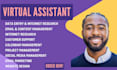 be executive personal virtual assistant for business,  operations VA