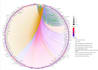 do ngs, rna seq, and metagenomics bioinformatics analysis