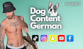 do french bullldog ugc content
