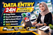 do accurate data entry, copy paste and excel typing within 24 hours