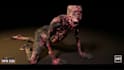 do cgi vfx artist, special effects, compositing for you in high quality