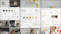 design a premium logo and complete brand guidelines