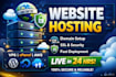 professional website hosting and domain setup