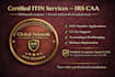 help with US tax filing, itin application, business setup