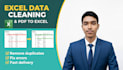 professionally excel data cleaning or formatting