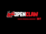 setup clawbot, openclaw clawdbot ai assistant moltbot ai set up on vps, mac mini