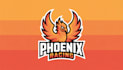 do amazing phoenix logo with new creative concepts