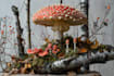 craft captivating fungi and botanical art